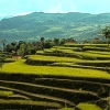 nepal_huegellandschaft