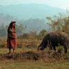 thailand_north_farmer